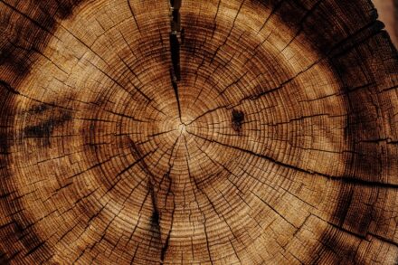 Frezowanie drewna – dlaczego jest takie ważne i jak je wykonywać?